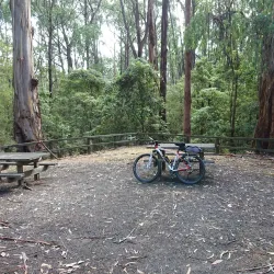 Morwell National Park - Moe