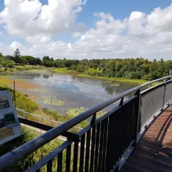 Moranbah Botanic Gardens - Moranbah