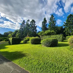 Moranbah Botanic Gardens - Moranbah