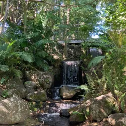 Moranbah Botanic Gardens - Moranbah