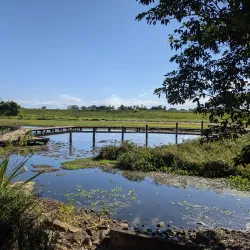 Moranbah Botanic Gardens - Moranbah