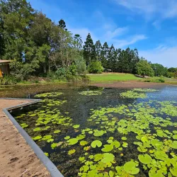 Moranbah Botanic Gardens - Moranbah