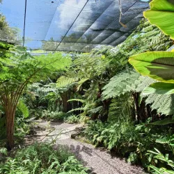 Moranbah Botanic Gardens - Moranbah