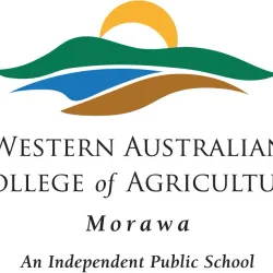 Morawa Agricultural Museum - Morawa