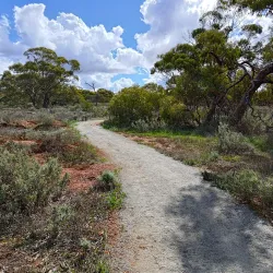 Morawa Heritage Trail - Morawa