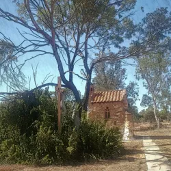Perenjori-Morawa Wildflower Drive - Morawa