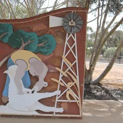 Perenjori-Morawa Wildflower Drive - Morawa