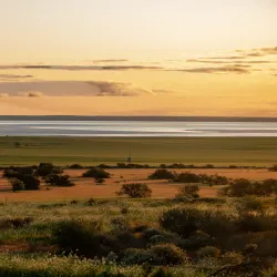 Yarra Yarra Lakes Nature Reserve - Morawa