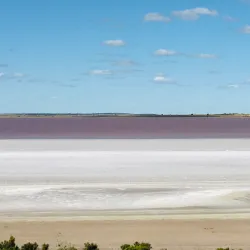Yarra Yarra Lakes Nature Reserve - Morawa