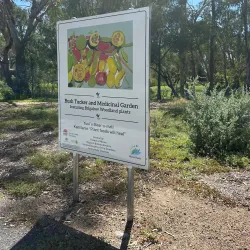 Moree Botanic Gardens - Moree