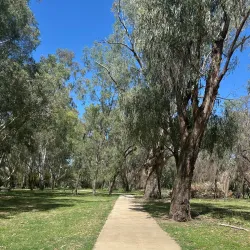 Moree Botanic Gardens - Moree
