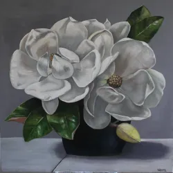 Moree Plains Gallery - Moree