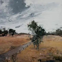 Moree Plains Gallery - Moree