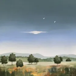 Moree Plains Gallery - Moree