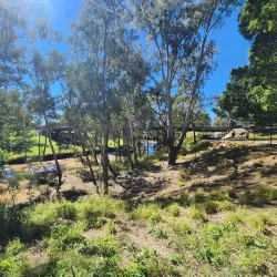 Moree Visitor Information Centre - Moree