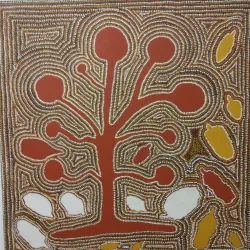 Mungindi Museum - Moree