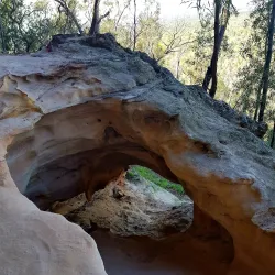 Pilliga Forest - Moree