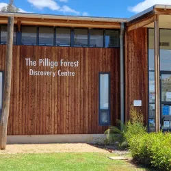Pilliga Forest - Moree