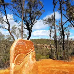 Pilliga Forest - Moree