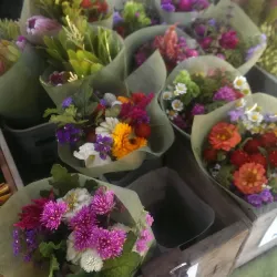 Mount Barker Farmers Market - Mount Barker