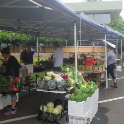 Mount Barker Farmers Market - Mount Barker