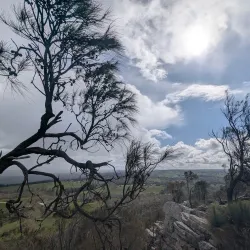 Mount Barker Heritage Trail - Mount Barker