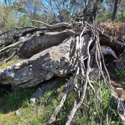 Mount Barker Heritage Trail - Mount Barker