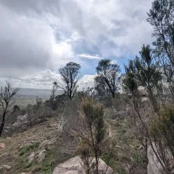 Mount Barker Heritage Trail - Mount Barker