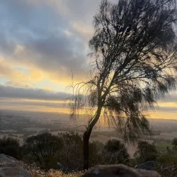 Mount Barker Heritage Trail - Mount Barker