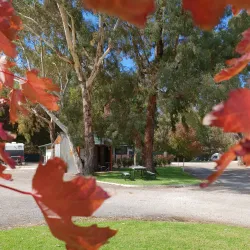 Mount Barker Park - Mount Barker