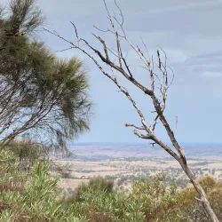 Mount Barker Summit - Mount Barker