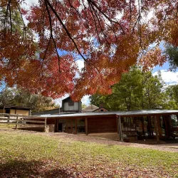 The Cedars - Mount Barker
