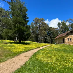 The Cedars - Mount Barker