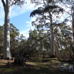 The Cedars - Mount Barker