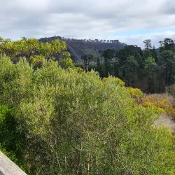 Blue Lake - Mount Gambier