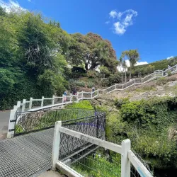 Cave Gardens Lookout - Mount Gambier