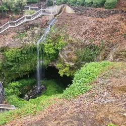 Cave Gardens - Mount Gambier