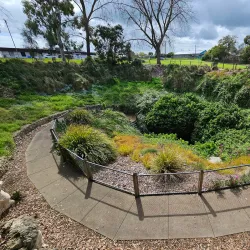 Engelbrecht Cave - Mount Gambier
