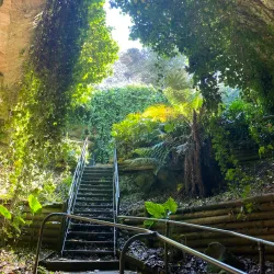 Engelbrecht Cave - Mount Gambier