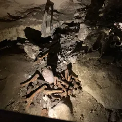 Engelbrecht Cave - Mount Gambier