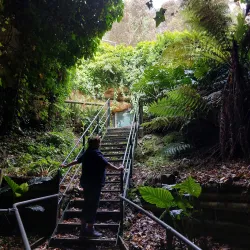 Engelbrecht Cave - Mount Gambier