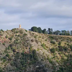 Mount Gambier Botanic Gardens - Mount Gambier