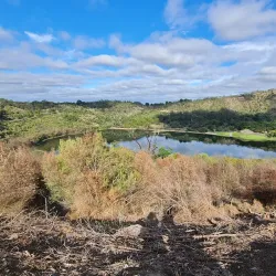 Mount Gambier Botanic Gardens - Mount Gambier