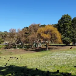 Mount Gambier Botanic Gardens - Mount Gambier