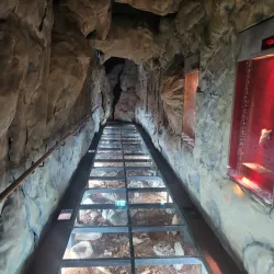 Mount Gambier Visitor Information Centre - Mount Gambier