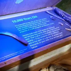 Riddoch Art Gallery - Mount Gambier