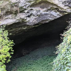 Riddoch Art Gallery - Mount Gambier