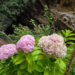 Umpherston Sinkhole - Mount Gambier