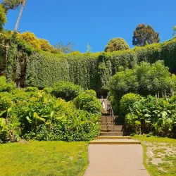 Umpherston Sinkhole - Mount Gambier