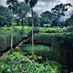 Umpherston Sinkhole - Mount Gambier